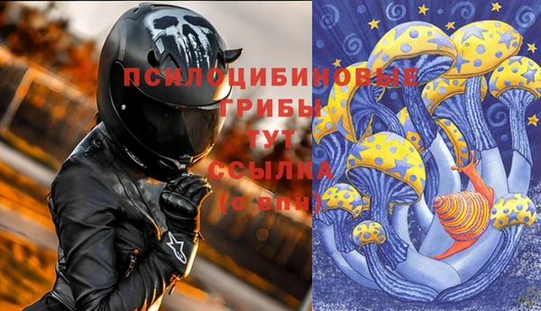 2c-b Бутурлиновка